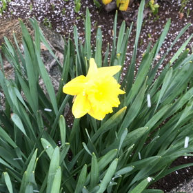 まだ、冬が恋しいの？の画像