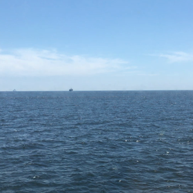 こんにちは、夏休み3日めの画像