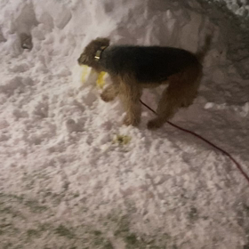 2022年12月20日の画像