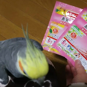 葉っぱの歌だそうですの画像