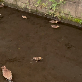 今日の尚整体♪の画像