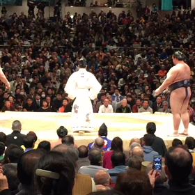2016年一月場所13日目の画像