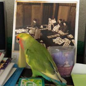 ★おかたずけの画像