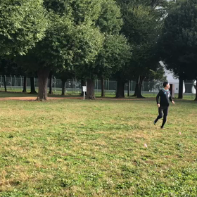 航空公園練習1000m １組目③の画像