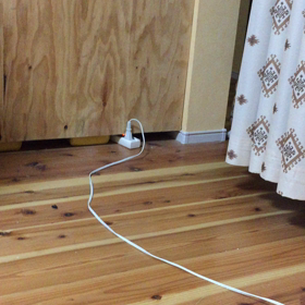 てんちゃんの求愛鳴きの画像