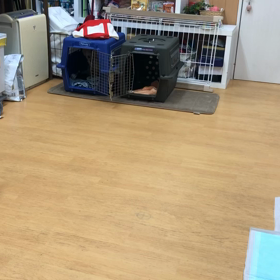 色っぺえ。の画像