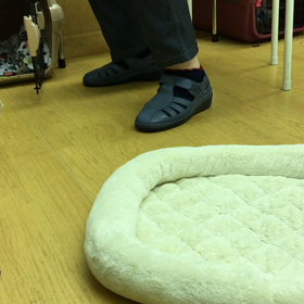 スゴイ頑張りました！！の画像