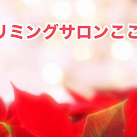 12月　〜スライドショー〜の画像