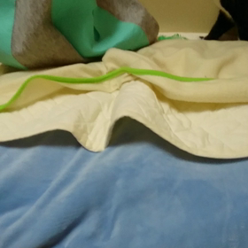 ムササビになった！れいちゃん(゜ﾛ゜;ﾉ）ﾉの画像