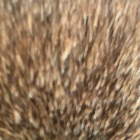 変身の術の画像