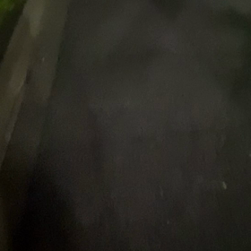 カーモンベイベーヤンキーの画像