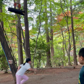 ありのみ動画②の画像