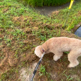 秋を見つけたの画像