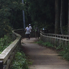 排泄日和の画像