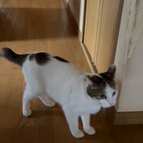 今日は 病院での治療の日です♪の画像