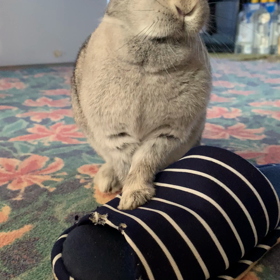 動画upされました☆の画像