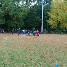 ダッシュ(赤チーム)④の画像