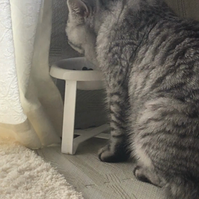 みにゃさん内緒ですよの画像