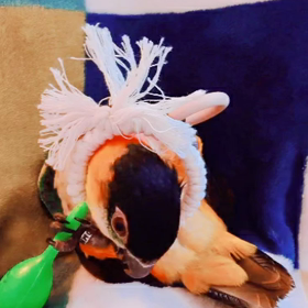 よくばりすぎ。の画像