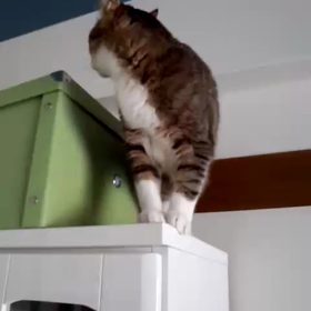 ☆登ったけど。。。☆の画像