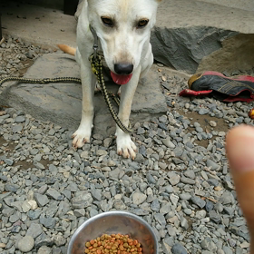 待てるようになりましたの画像