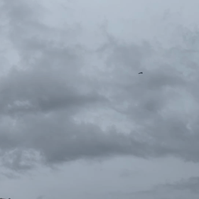 平和を守るため…の画像