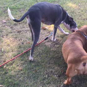 近くの公園の画像