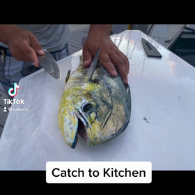 マヒマヒが釣れましたーの画像