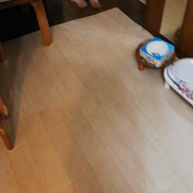 つれない態度も可愛い(๑¯◡¯๑)の画像