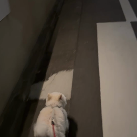 あー見たい見たいの画像