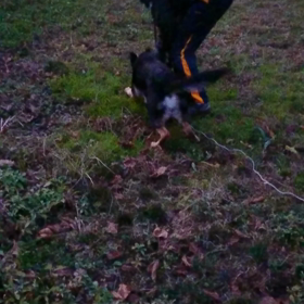 追及クラブの練習会のお知らせの画像