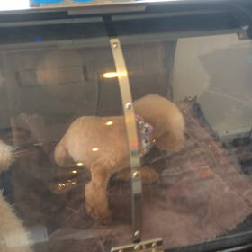 ⬛️5/24〜5/30＊酸素カプセルご利用のお友達⬛️の画像