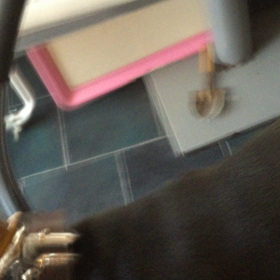 デイジー歩く〜歩く〜の画像