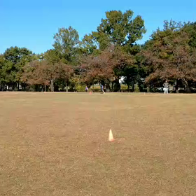 10月29日 ６色リレー⑤の画像