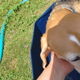 もう少しの画像