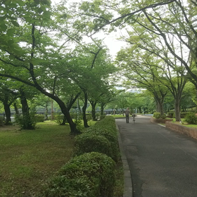 暑い仕事したくないの画像