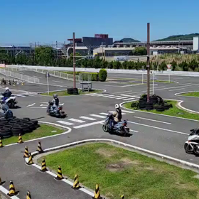 カルガモの親子！あと少し可  愛さがあれば…（汗）の画像