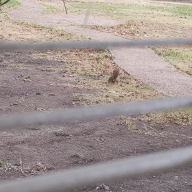 冬支度? !の画像