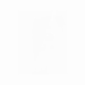 山田たろうさんストーリー動画の画像