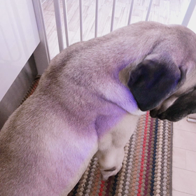 またいつかの画像