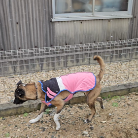 寒いね。。の画像