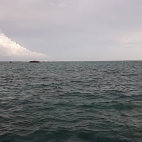 マリンちゅ石垣島の画像