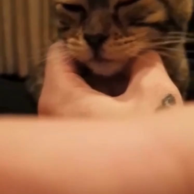 甘え上手なネネさんの画像