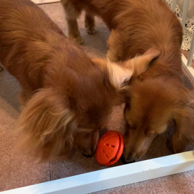 雨の日　暇つぶし玩具の画像