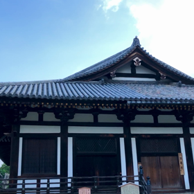 ヒグラシの画像