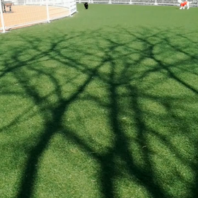 疾走犬くろの画像