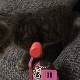 ピコピコハンマーの画像