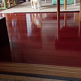 愛しのオトコ猫(=^・^=)の画像