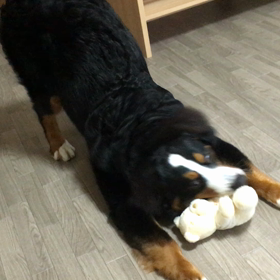 そのうち、、の画像