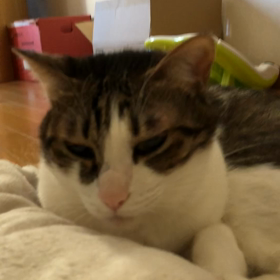 昨日のオリエンタルランド当選発表！の画像